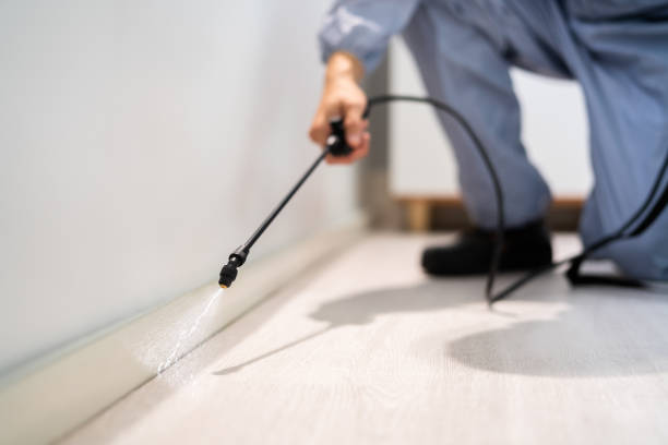 Licensed Termite Control service in Columbia, MD - Nex Pest Control