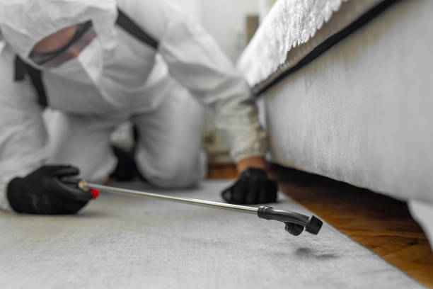 Professional Termite Control technician working in Columbia, MD