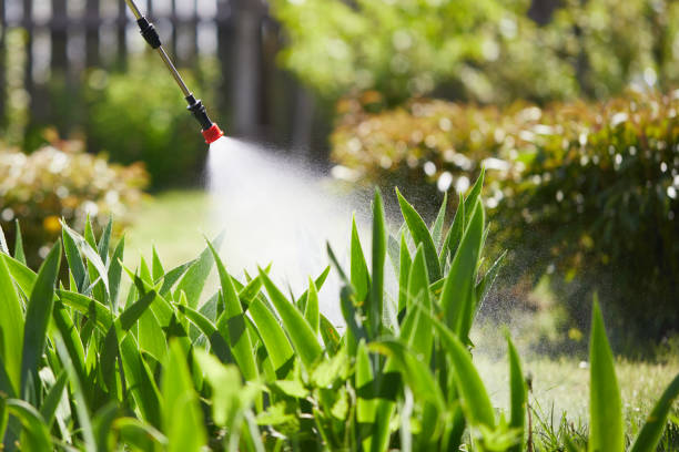 24/7 Emergency Termite Control experts in Columbia, MD