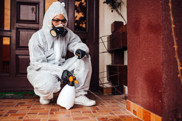 Reliable Termite Control contractor in Columbia, MD by Nex Pest Control
