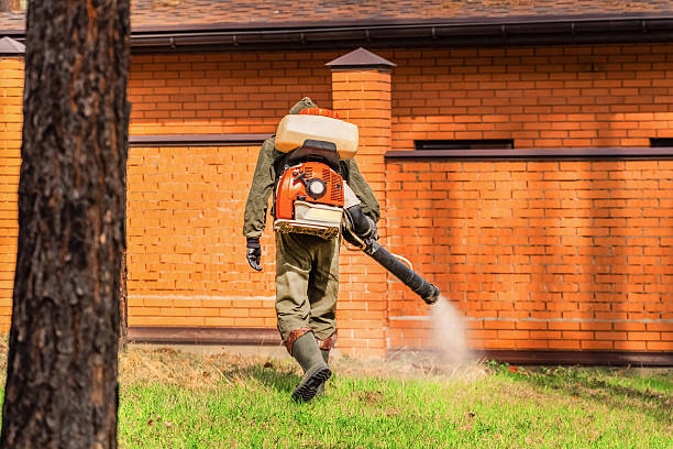 Trusted Rodent Control service in Columbia, MD - Nex Pest Control